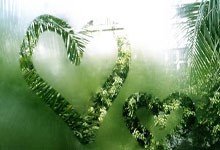 印度最干净的地方,竟然是这样的一个村庄