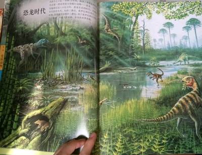 继续播放恐龙百科